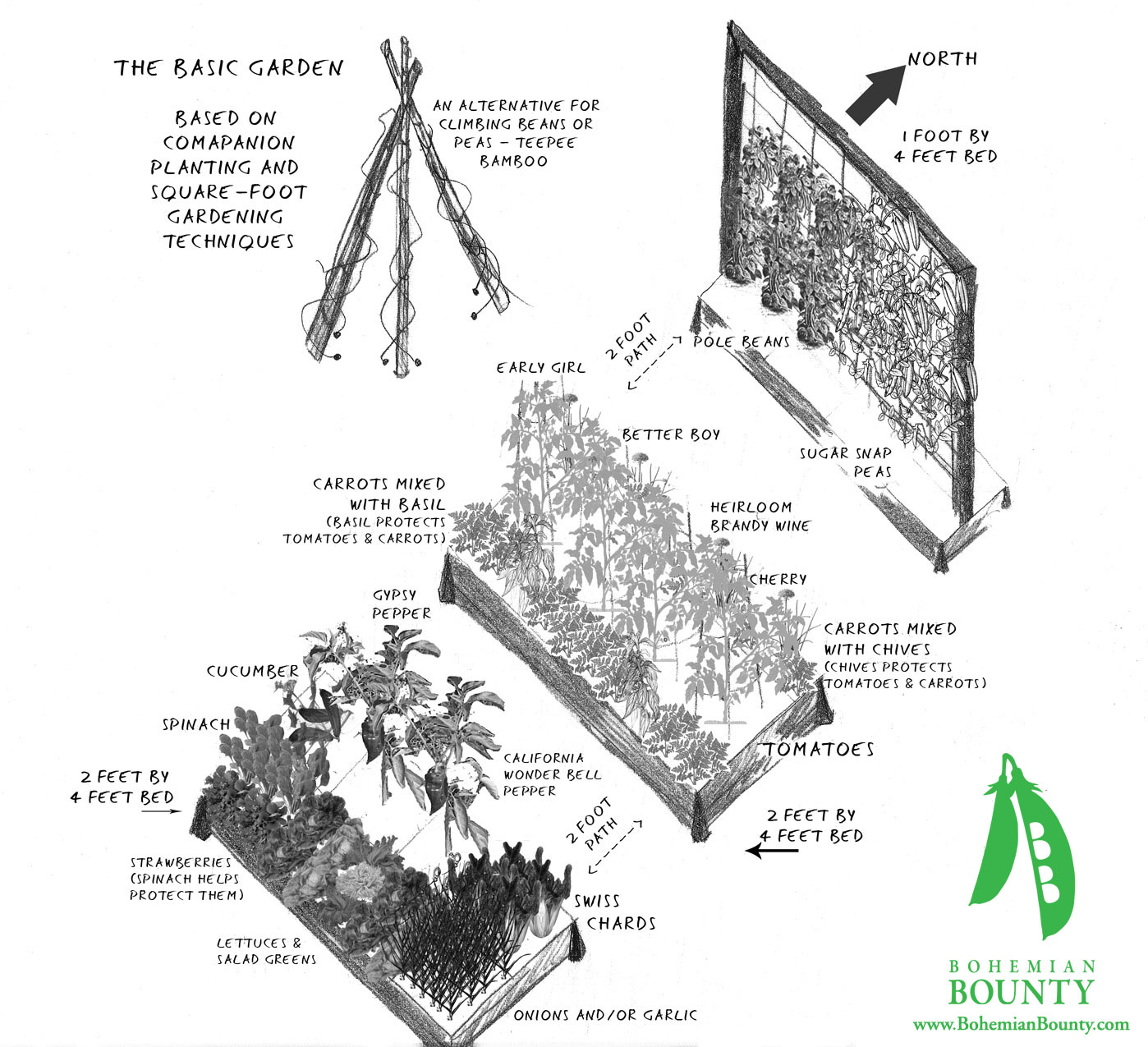 Small Vegetable Garden Design