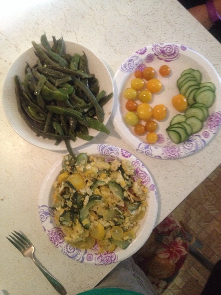 We had sauteed fresh squash and eggs, green beans, and tomatoes and cucumber drizzled in olive oil and sea salt. Other than the oil and salt we produced it all. Yum!